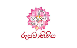 Brand-Logo-Sraddha